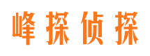 正阳市侦探公司